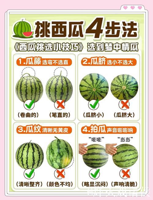 免费吃瓜攻略：我爱吃瓜官网教你如何轻松获取瓜果！